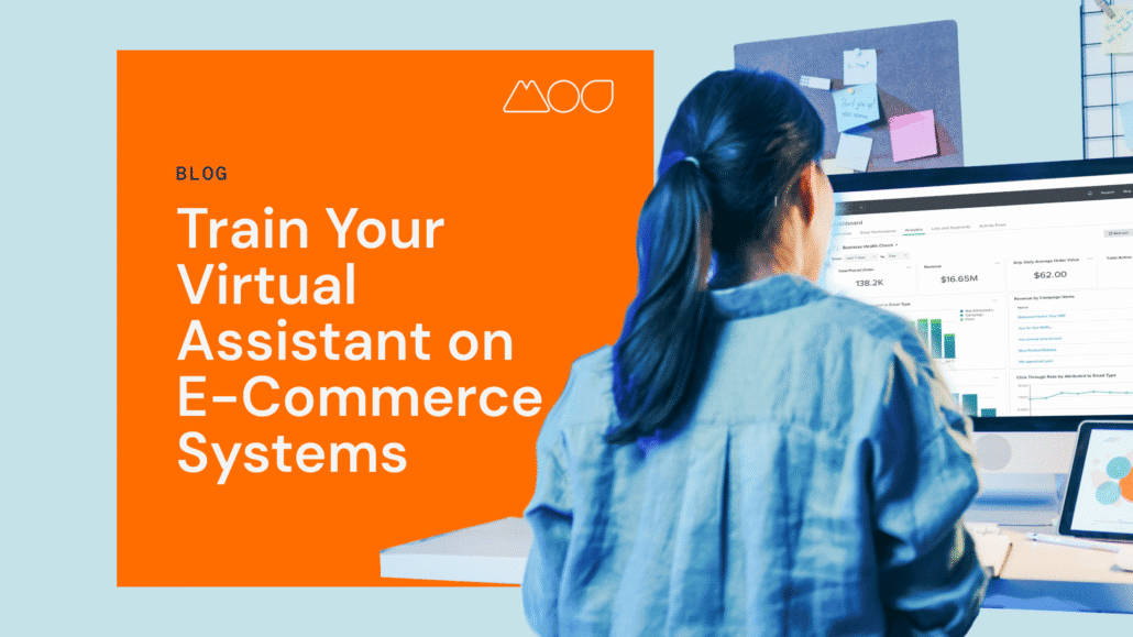 ecommerce assistant